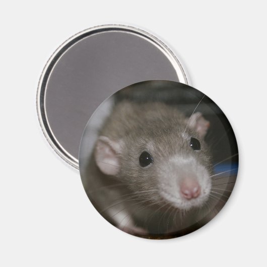 nieuwsgierig magneet (Voorkant / Achterkant)