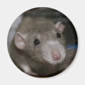 nieuwsgierig magneet (Voorkant)