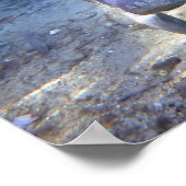 nieuwsgierig Manatee Poster (Hoek)