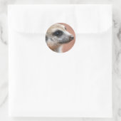Nieuwsgierig Meerkat Sticker (Tas)