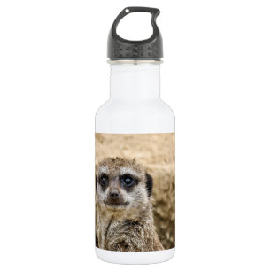 Nieuwsgierig Meerkat Waterfles