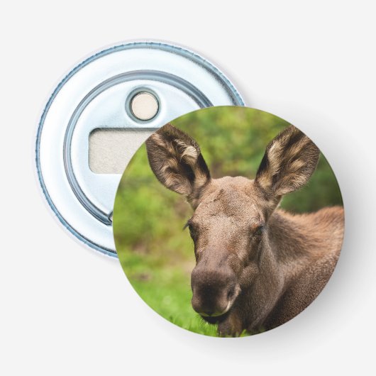 nieuwsgierig Moose Button Flesopener (Voorkant)