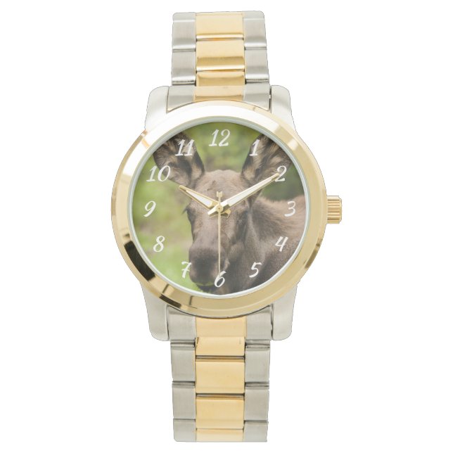 nieuwsgierig Moose Horloge (Voorkant)