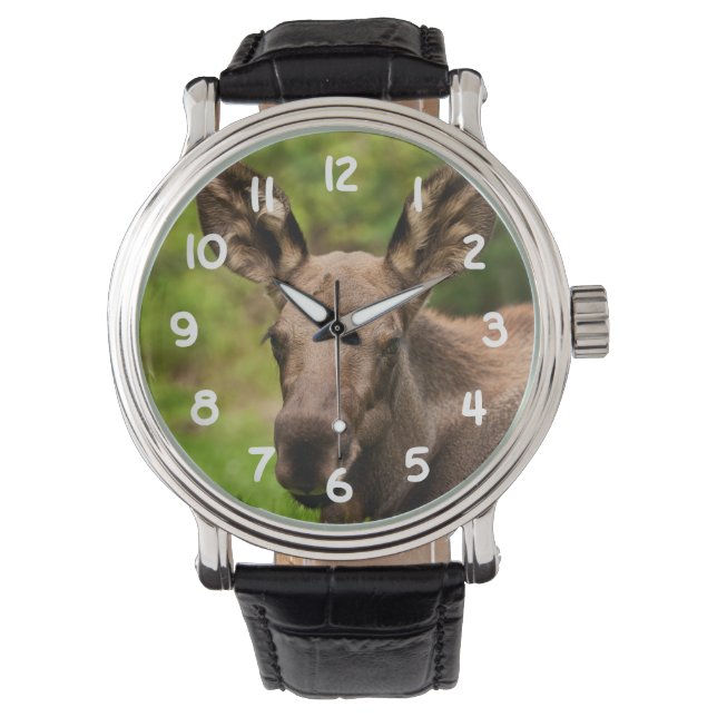 nieuwsgierig Moose Horloge (Voorkant)