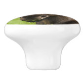 nieuwsgierig Moose Keramische Knop (Zijkant)