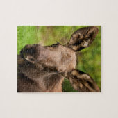 nieuwsgierig Moose Legpuzzel (Horizontaal)