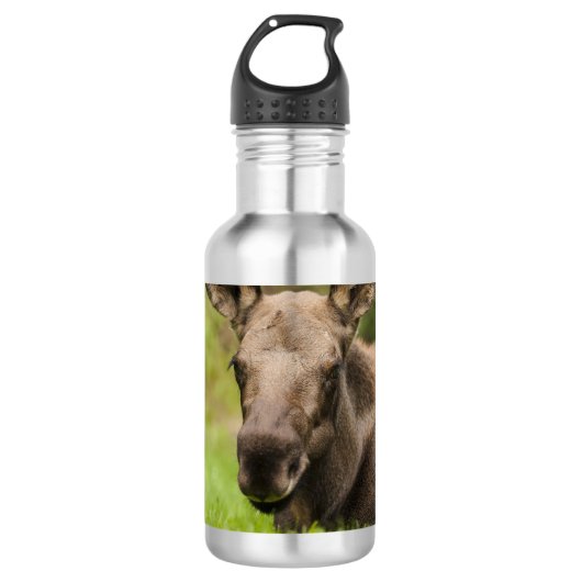 nieuwsgierig Moose Waterfles (Voorkant)