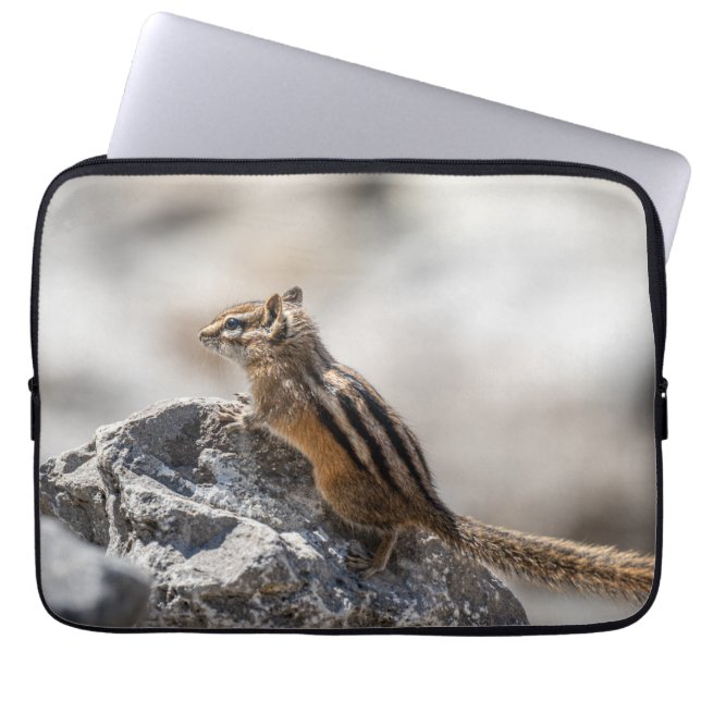 Nieuwsgierig naar Brown Chipmunk in Alberta Laptop Sleeve (Voorkant)