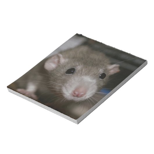 nieuwsgierig notitieblok (Linkerzijde)