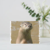 nieuwsgierig Otter-Briefkaart Briefkaart (Staand voorkant)