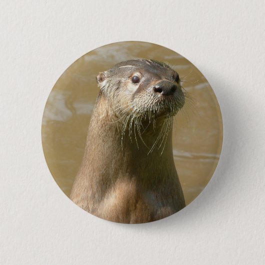 nieuwsgierig Otter Pin Ronde Button 5,7 Cm (Voorkant)