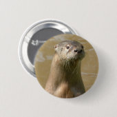 nieuwsgierig Otter Pin Ronde Button 5,7 Cm (Voorkant /achterkant)