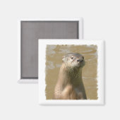 Nieuwsgierig Otter vierkante magneet (Voorkant / Achterkant)
