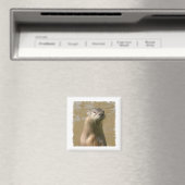 Nieuwsgierig Otter vierkante magneet (Insitu (Vaatwasser))