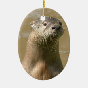 nieuwsgierig Otters Ornament