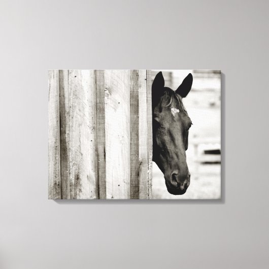 Nieuwsgierig paard canvas afdruk (Voorkant)