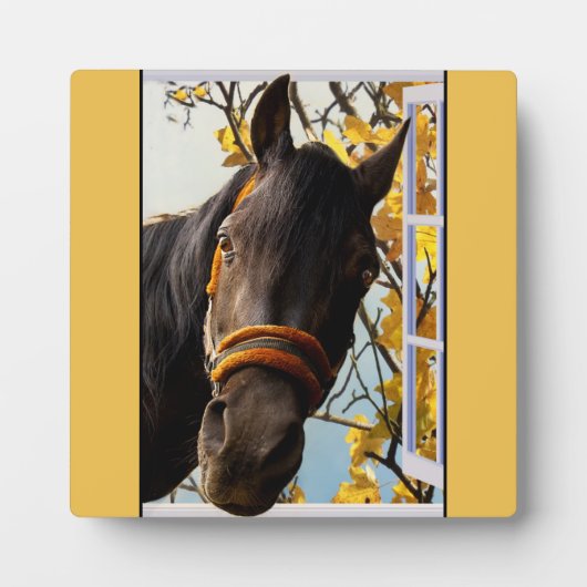 Nieuwsgierig paard dat door het keukenvenster kijk fotoplaat (Voorkant)