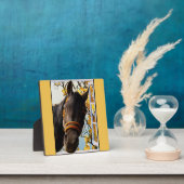 Nieuwsgierig paard dat door het keukenvenster kijk fotoplaat (Insitu)