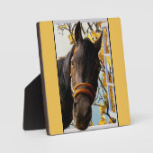 Nieuwsgierig paard dat door het keukenvenster kijk fotoplaat (Voorkant)