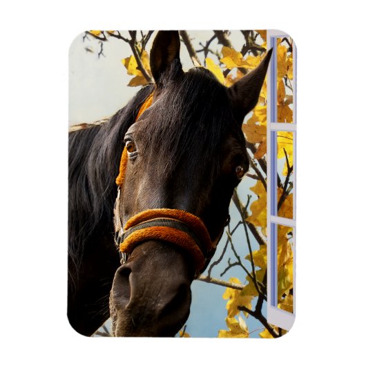 Nieuwsgierig paard dat door het keukenvenster kijk magneet (Verticaal)