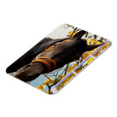 Nieuwsgierig paard dat door het keukenvenster kijk magneet (Linkerzijde)