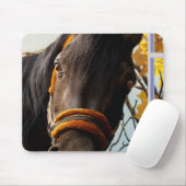 Nieuwsgierig paard dat door het keukenvenster kijk muismat (Met muis)