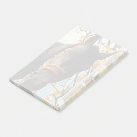 Nieuwsgierig paard dat door het keukenvenster kijk post-it® notes (Schuin)