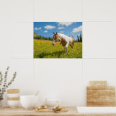 Nieuwsgierig paard in een alpiene weide in de zome poster (Keuken)