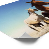 nieuwsgierig paard poster (Hoek)