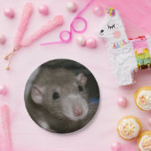 nieuwsgierig papieren bordje (Feest)