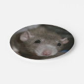 nieuwsgierig papieren bordje (Gekanteld)