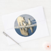 Nieuwsgierig Polar Beer Ronde Sticker (Envelop)