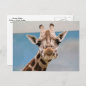 Nieuwsgierig portret van Giraffe Briefkaart (Voorkant / Achterkant)