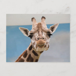 Nieuwsgierig portret van Giraffe Briefkaart