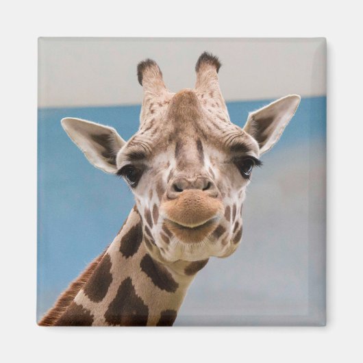 Nieuwsgierig portret van Giraffe Magneet (Voorkant)