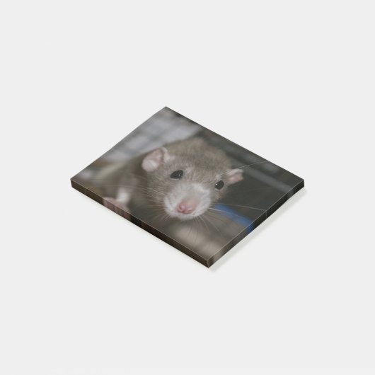 nieuwsgierig post-it® notes (Schuin)