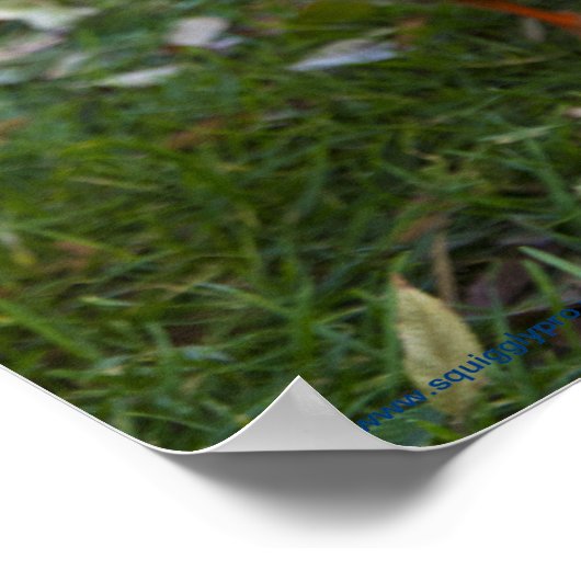 Nieuwsgierig Poster (Hoek)