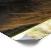 Nieuwsgierig Poster Koe (Hoek)