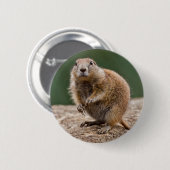 Nieuwsgierig Prairie Dog Badge Ronde Button 5,7 Cm (Voorkant /achterkant)