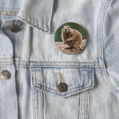 Nieuwsgierig Prairie Dog Badge Ronde Button 5,7 Cm (In situ)
