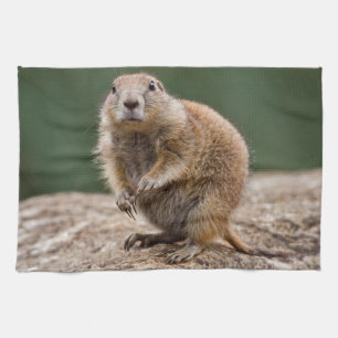 Nieuwsgierig Prairie Dog Kitchen Towel Theedoek