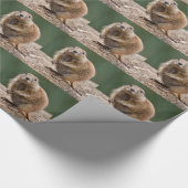 nieuwsgierig Prairie Dog-pakpapier Cadeaupapier (Hoek)