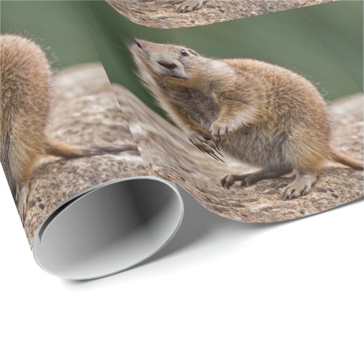 nieuwsgierig Prairie Dog-pakpapier Cadeaupapier (Rol Hoek)