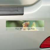 Nieuwsgierig Praying Mantis Bumpersticker (Op auto)