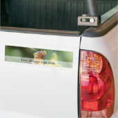 Nieuwsgierig Praying Mantis Bumpersticker (Op Truck)