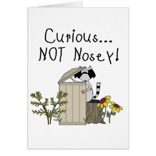 nieuwsgierig Raccoon