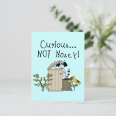 nieuwsgierig Raccoon Briefkaart (Staand voorkant)