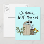 nieuwsgierig Raccoon Briefkaart (Voorkant / Achterkant)