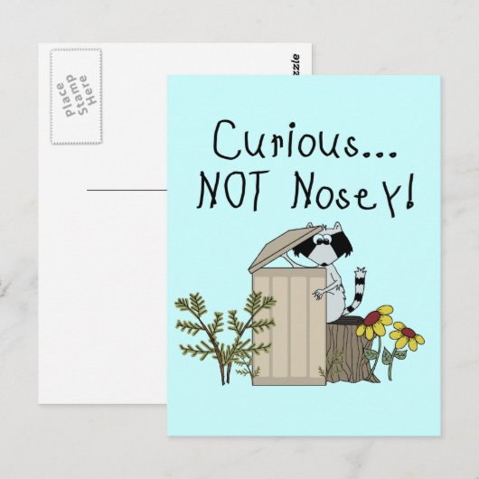 nieuwsgierig Raccoon Briefkaart (Voorkant / Achterkant)