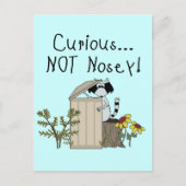 nieuwsgierig Raccoon Briefkaart (Voorkant)